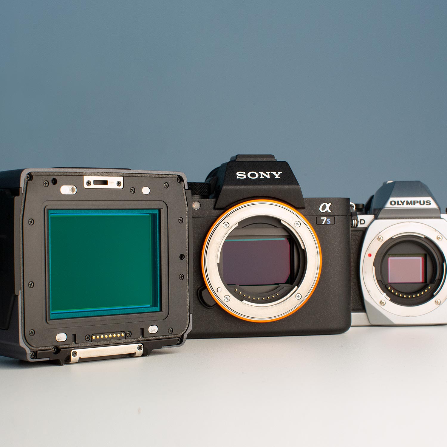 Image of medium format, full frame and crop sensor cameras