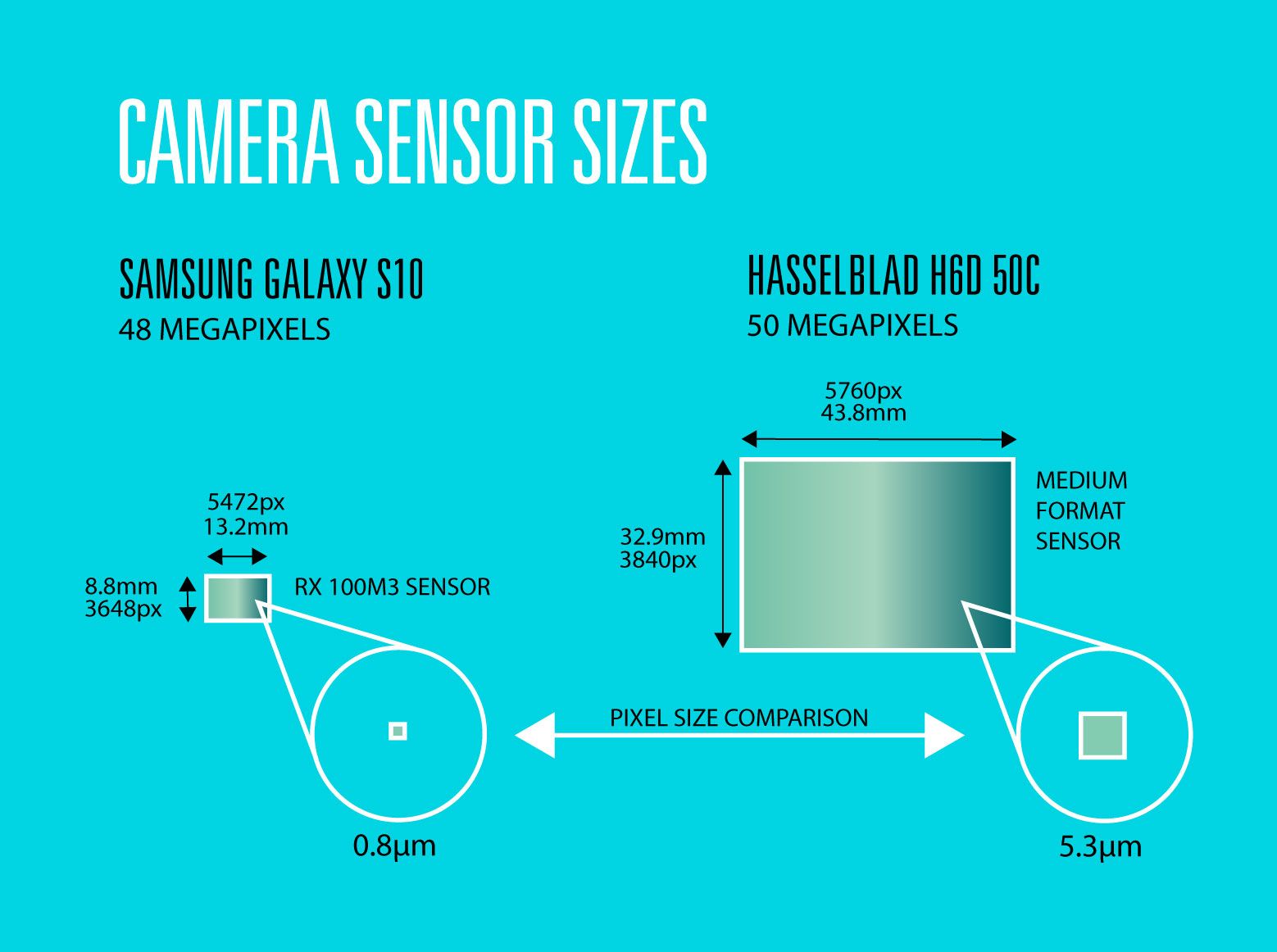 Learn which DSLR camera is best for you a helpful guide.